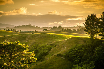 sunset landscape new zealand north island