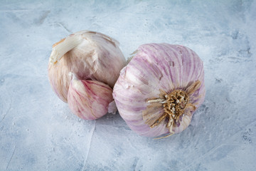 Garlic in white background