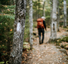 A Hiker Walks Past A Tree With A White Blaze Trail Marker