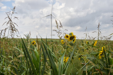 Wind turbines in a wind farm with a dramatic stormy sky in the background