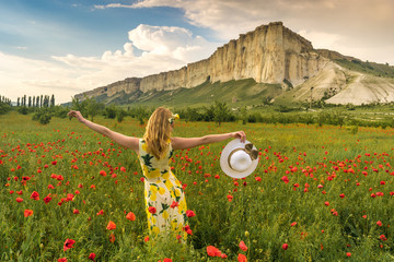 Sticker - Girl in poppy field