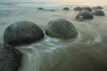 Wall Mural - Moeraki Boulders on Koekohe Beach, Otago, South Island, New Zealand.