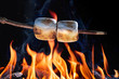  Two Marshmallows On A Stick Roasting Over Campfire On Black Background - Camping/Summer Fun Concept