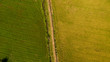 © kanpisut - Aerial view shot from drone of the beautiful paddy fields with green young sprouts in farming organic harvest with rice. Image of beautiful Terraced rice field in water season take photo from drone.