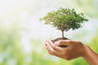 Leinwandbild Motiv hand holdig big tree growing on green background. eco earth day concept