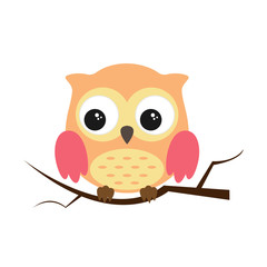 Owl night bird with big eyes. Colorful illustration