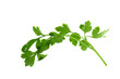© kaiskynet - parsley fresh herb isolated on a white background