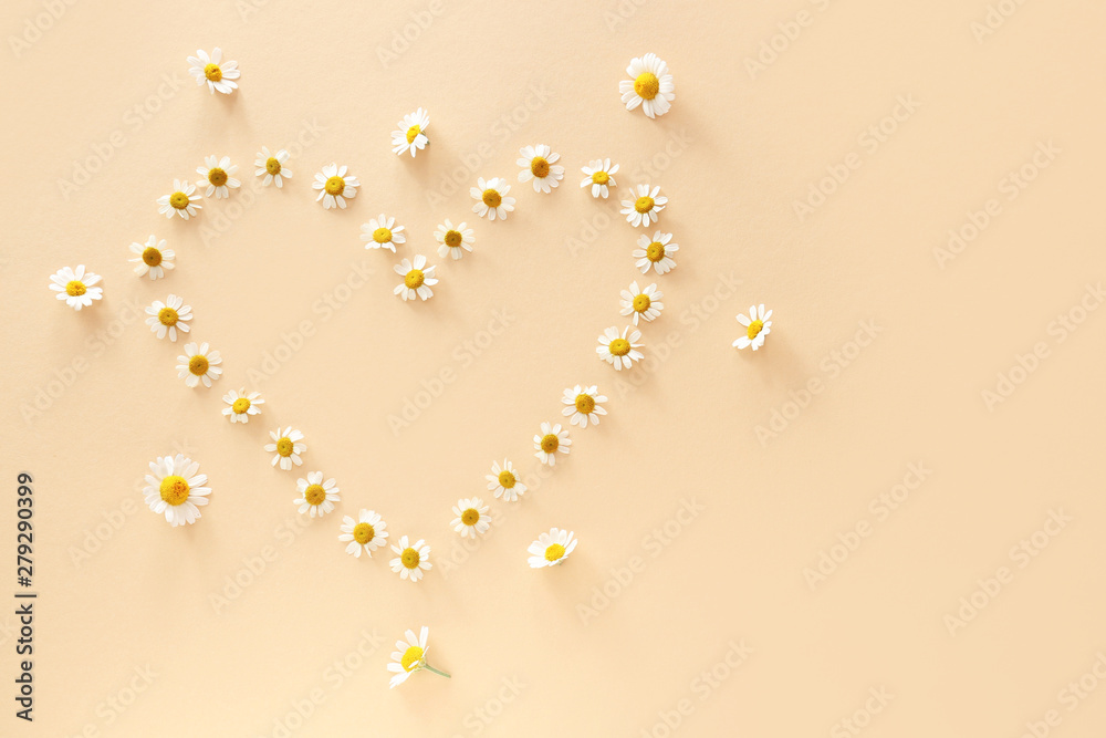 Heart made of chamomile flowers on color background