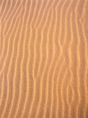  Pattern of wrinkles in sand