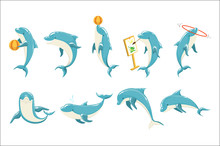 Bottlenose Dolphin Performing Tricks Set Of Illustrations