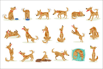 Sticker - Brown Dog Set Of Normal Everyday Activities