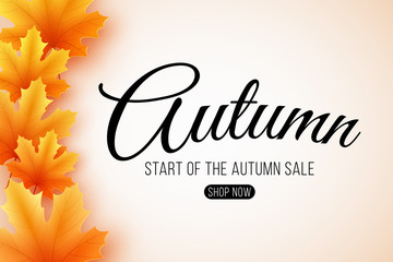 Wall Mural - Autumn sale. Web banner with lettering. Seasonal poster with autumn leaves. Maple leaf. Start of the autumn sale. Vector illustration