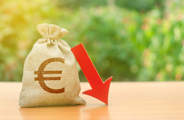 Wall Mural - Money bag with Euro symbol and red arrow down. Reduced profits and liquidity of investments. Reduced tax revenues, economic difficulties, departure of capital, investors. Falling wages and welfare