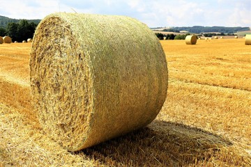 Canvas Print - straw bales of hay