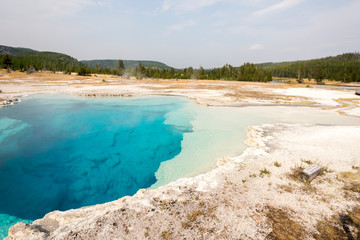 Geyser and hot spring in old faithful basin in Yellowstone National Park in Wyoming