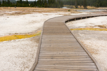 Geyser and hot spring in old faithful basin in Yellowstone National Park in Wyoming