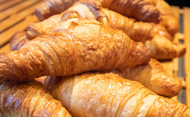 Wall Mural - French croissants in a shop display, closeup view