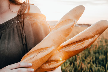 french baguette in wheat field