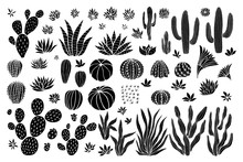 Cactus Succulent Collection. Cacti Sketchy Style Pastel Background. Hand Drawn Cactuses Vector Illustration