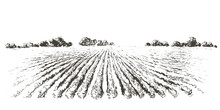 Rural Landscape Field . Hand Drawn Vector Illustration. Countryside Landscape. Engraving Style