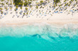 Aerial view from drone on caribbean seashore with coconut palm trees and sunbeds