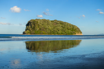 Canvas Print - Bay Of Plenty