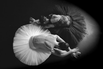 Black and white amazing ballerinas