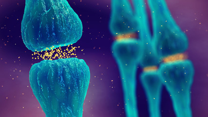 brain synapses pathology and neurological disease, synaptic transmission