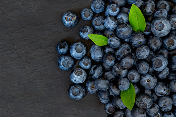 Canvas Print - Blueberry border design. Ripe large and tasty blueberries with green leaves on dark background. Bilberries close-up. Copy space for your text. Healthy food concept