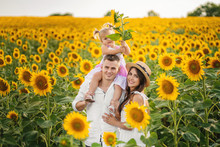 Photo Of Happy Family, Parents And Daughter, Smiling Together In Sunflower Field
