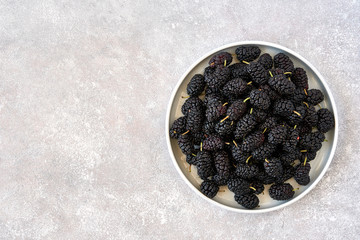 Wall Mural - Fresh raw black mulberries in plate on stone background. Top view