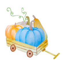 Watercolor Hand Painted  Blue And Orange Pumpkins In A Wheelbarrow Isolated On White Background. Fall Farm Harvest Illustration