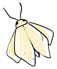 Poster - Moth drawing, illustration, vector on white background.