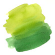 Green color gradation brush watercolor background hand painted on white, green color texture brush