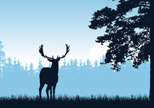 Realistic Illustration Of Standing Deer, Grass And High Tree. Forest Under Blue Sky. With Space For Text - Vector