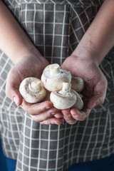 champignons in hands