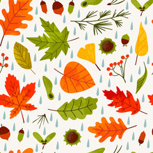 Hand Drawn Various Autumn Leaves, Rowan, Acorn, Chestnut And Raindrops. Vector Seamless Pattern. Colored Trendy Illustration. Flat Design. Stamp Texture
