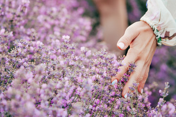 Wall Mural - girl feeling lavender flowers 