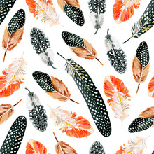 Seamless Pattern With Hand-drawn Spotted Feathers Of Guineafowl