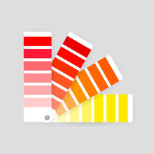 Color Palette Guide On Transparent Background