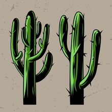Green Cactus Plants Concept