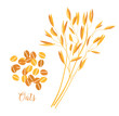 © nadia1992 - Oats cereals grain. Spikes and grains of oats.