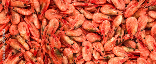 Cuadros en Lienzo Seefood banner site of frozen shrimp color coral live