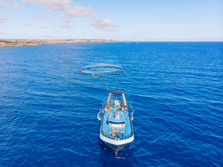 Transportation of fish in cage to farm and port market. Blue sea aquaculture salmon background