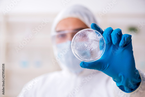 Fotografía Young male chemist working in the lab