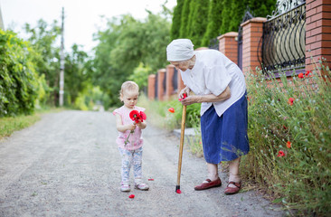 Wall Mural - Great grandmother and toddler girl picking flowers in countryside