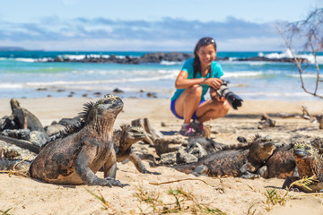 ecotourism tourist photographer taking wildlife photos on galapagos islands of famous marine iguanas
