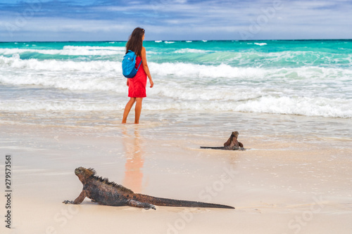 Galapagos Islands Wildlife And Ecotourism Adventure Tourist And Marine Iguana Walking On Tortuga Bay Beach In Santa Cruz Island Woman In Background Galapagos Islands Travel Vacation Buy This Stock Photo And