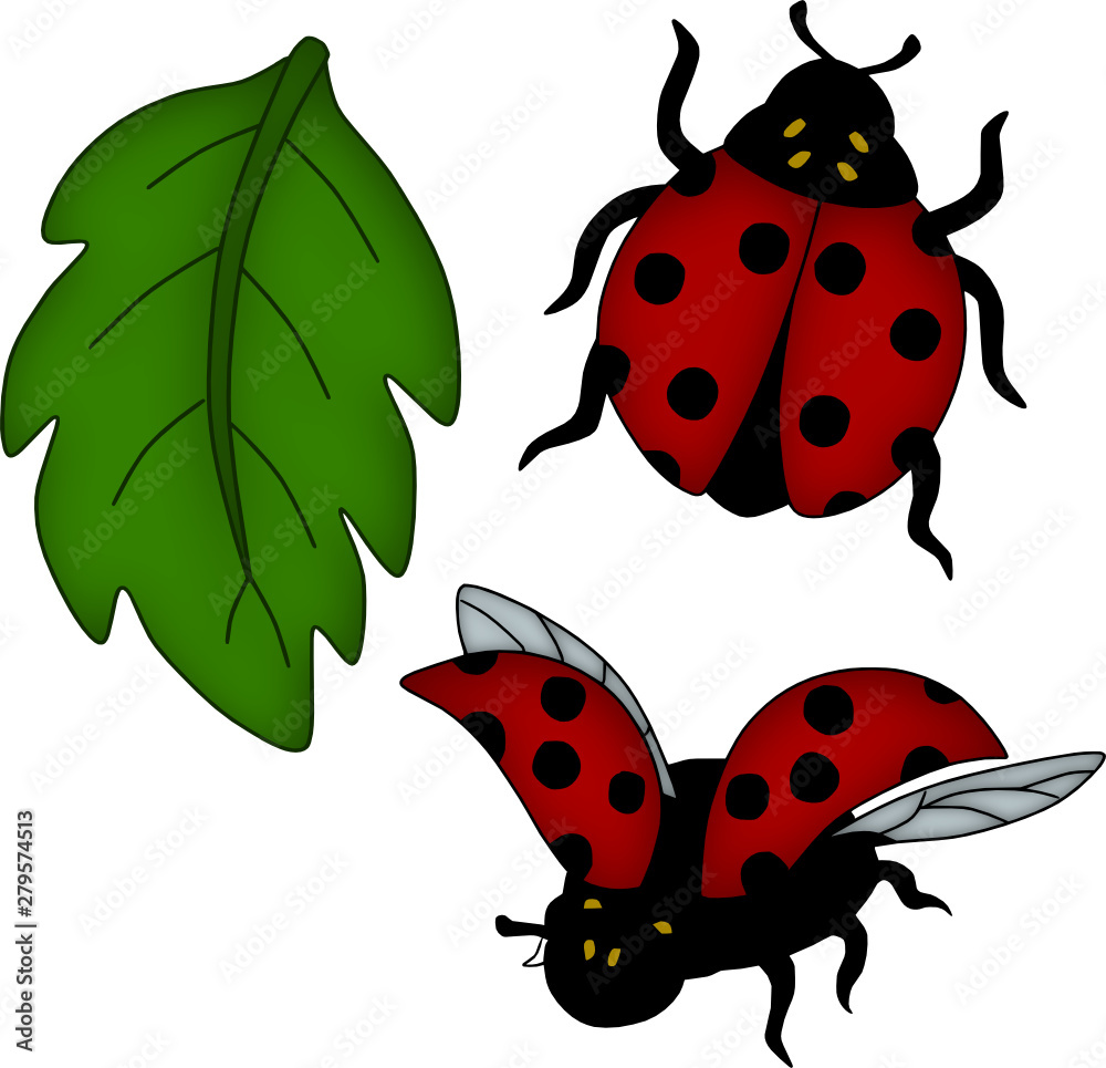 Cute LadyBug Lady Bug Vector Color Cartoon Illustration Stock Vector ...