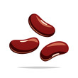 Red beans vector isolated illustration